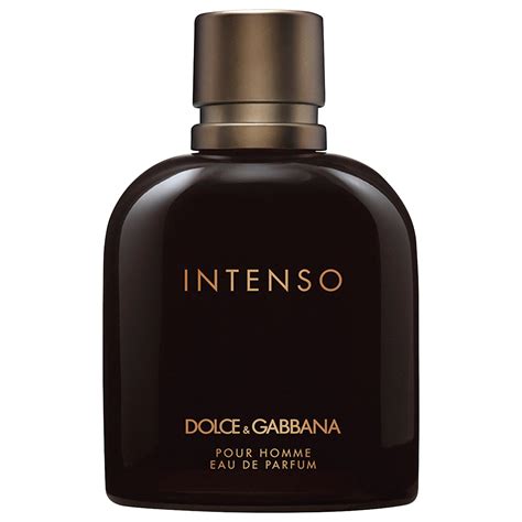 dolce gabbana intenso smell|intenso dolce and gabbana price.